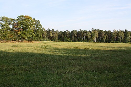 gelaende002