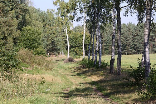gelaende013